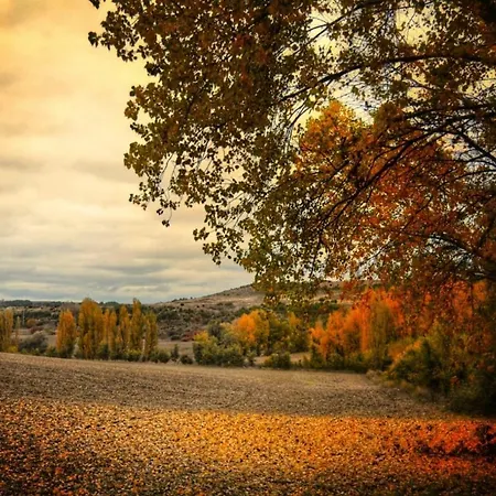 La Pequena Luz Casa di campagna