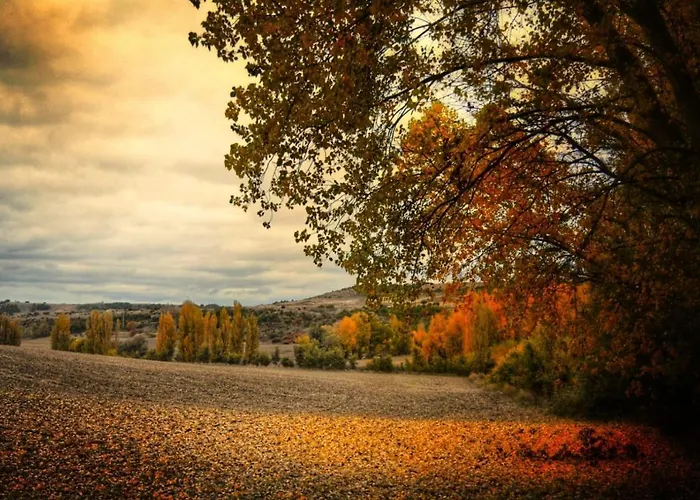 La Pequena Luz Casa di campagna